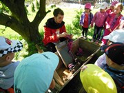 Celodenní výlet na Bezděz title=